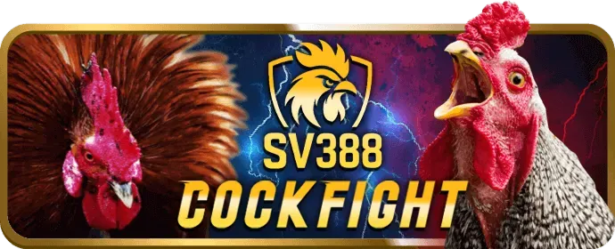 Tham gia đặt cược đá gà thông minh tại G666 Win